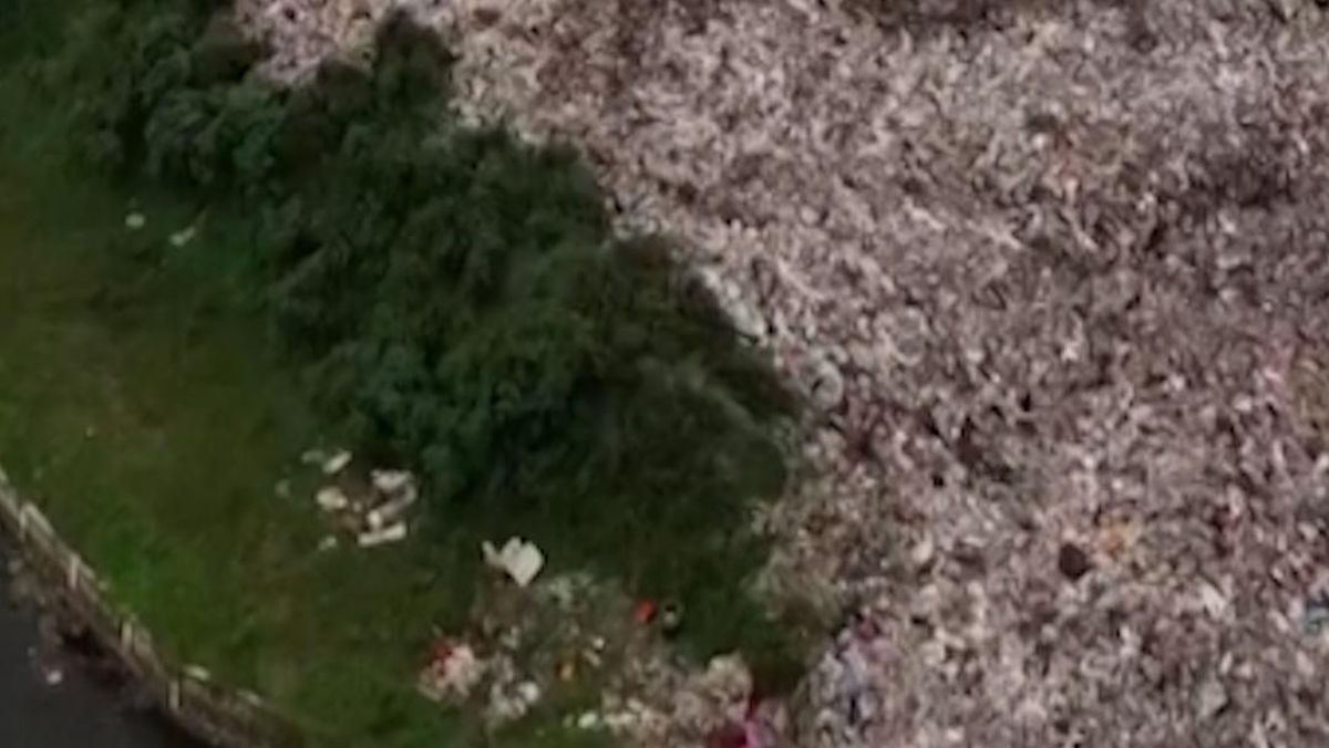 Five Victims of Bantargebang Landfill Landslide Found, Several Still Missing