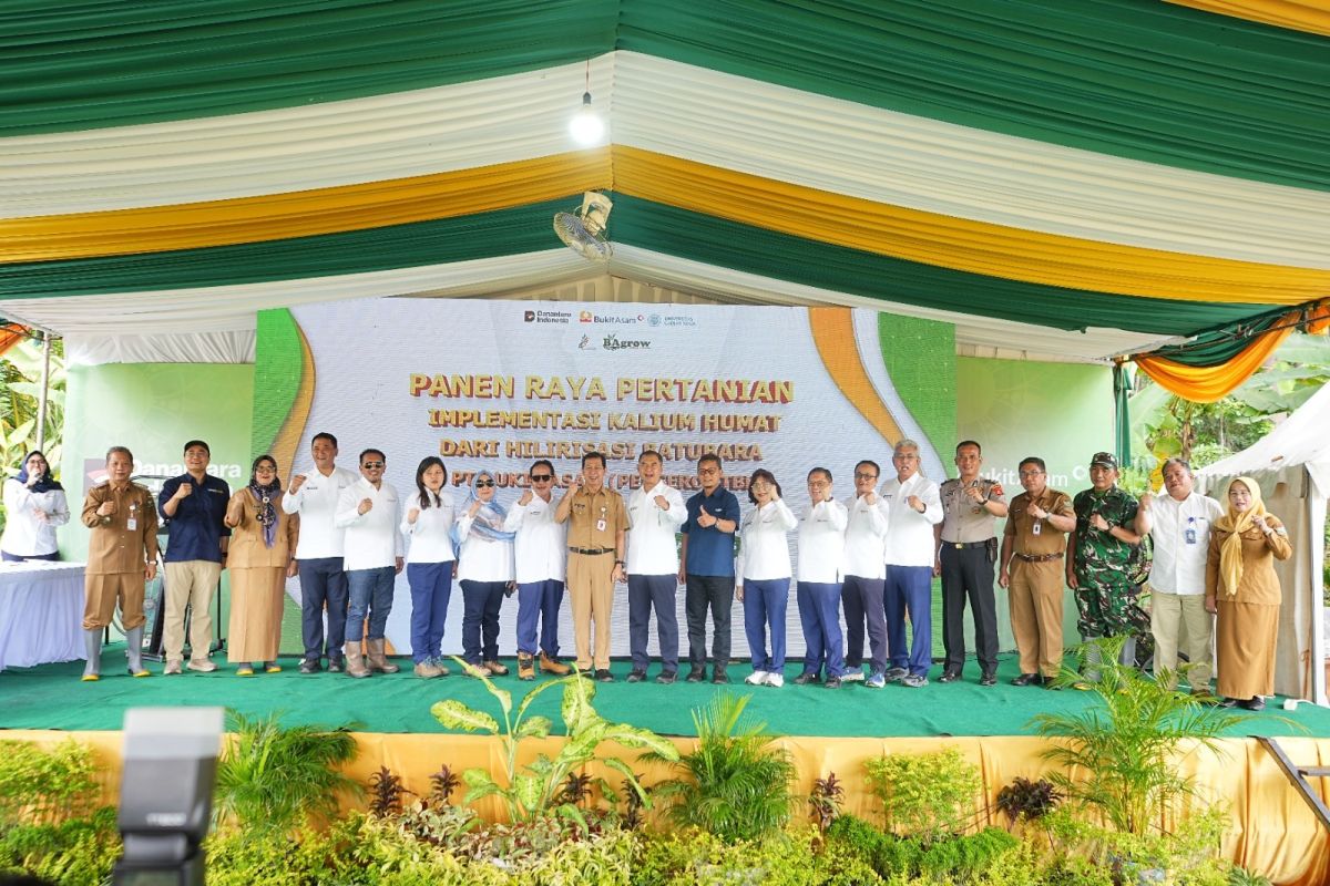 Record Harvest of Potassium Humate Rice Demonstrates Coal Downstream Processing Supporting National Food Security