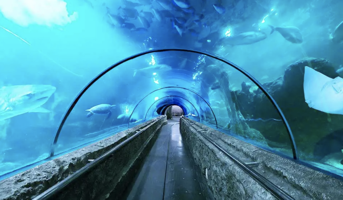 Indoor Tourism Management Implements Duration Limitation Strategy