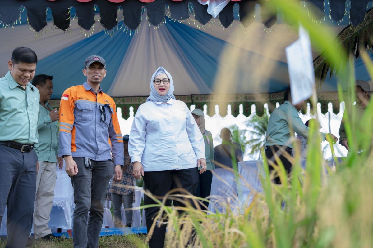 Ministry of Food Coordination Hopes Kolaka Becomes Food Granary in South-East Sulawesi