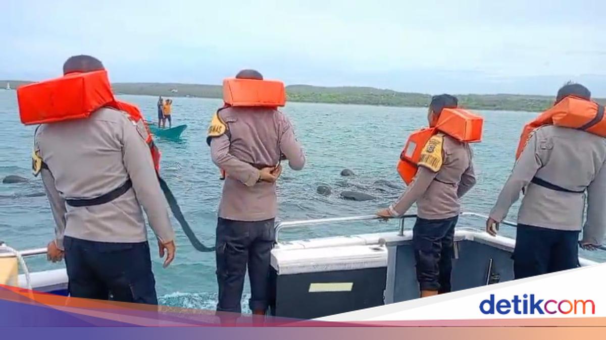 Pod of Pilot Whales Trapped in Fishing Net Off Rote Ndao Waters