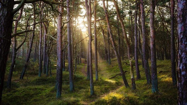 Tiny Organisms Bring Millions of Deaths, Scientists Sound Doomsday Warning