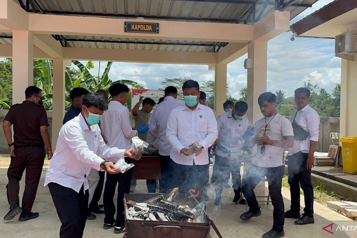 Southwest Papua Police destroy 7.9 kg of marijuana from PNG trafficking ring