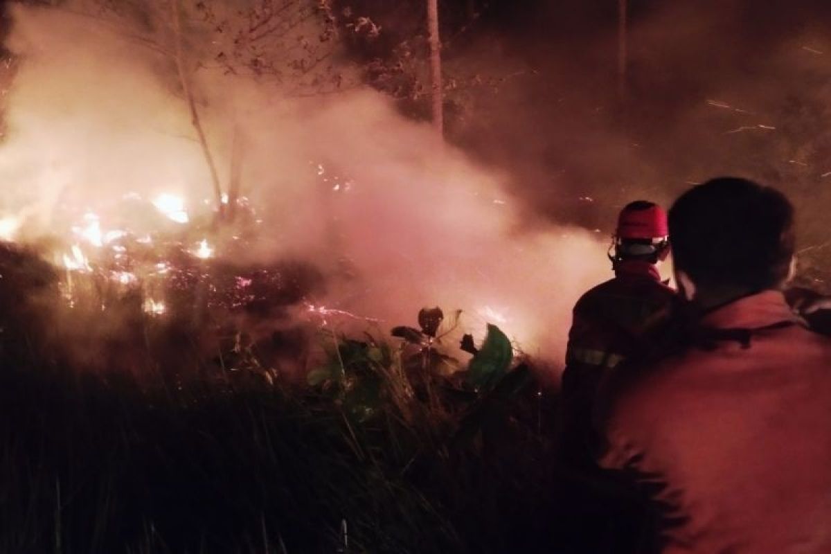 Natuna Regency Extinguishes Three-Hectare Land Fire