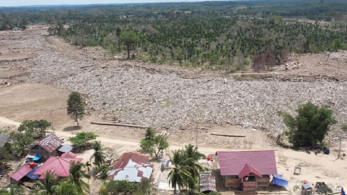 Indonesia's 'dead river' a stark warning after Sumatra flood disaster