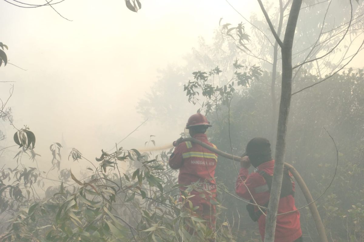 Combined team battles forest and land fires at four locations in Riau