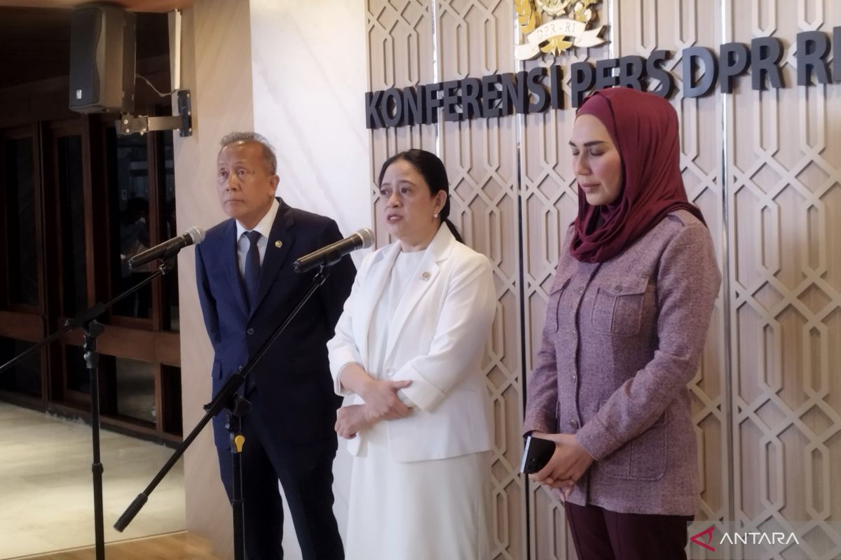 Speaker of House of Representatives supports government restrictions on social media for children