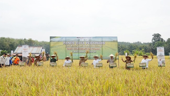 Coal Downstream Processing Supports National Food Security, PTBA Demonstrates with Potassium Humate Initiative