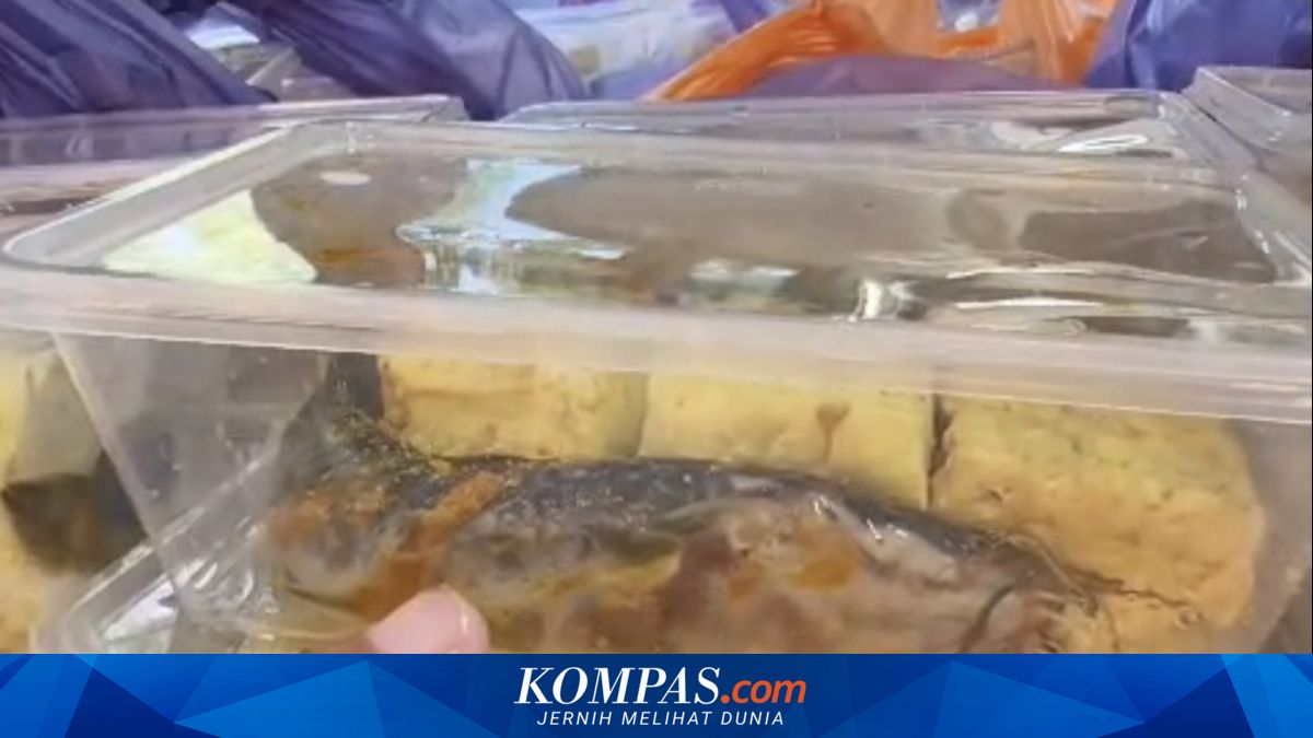 East Java School Feeding Programme Halted Over Raw Catfish Menu