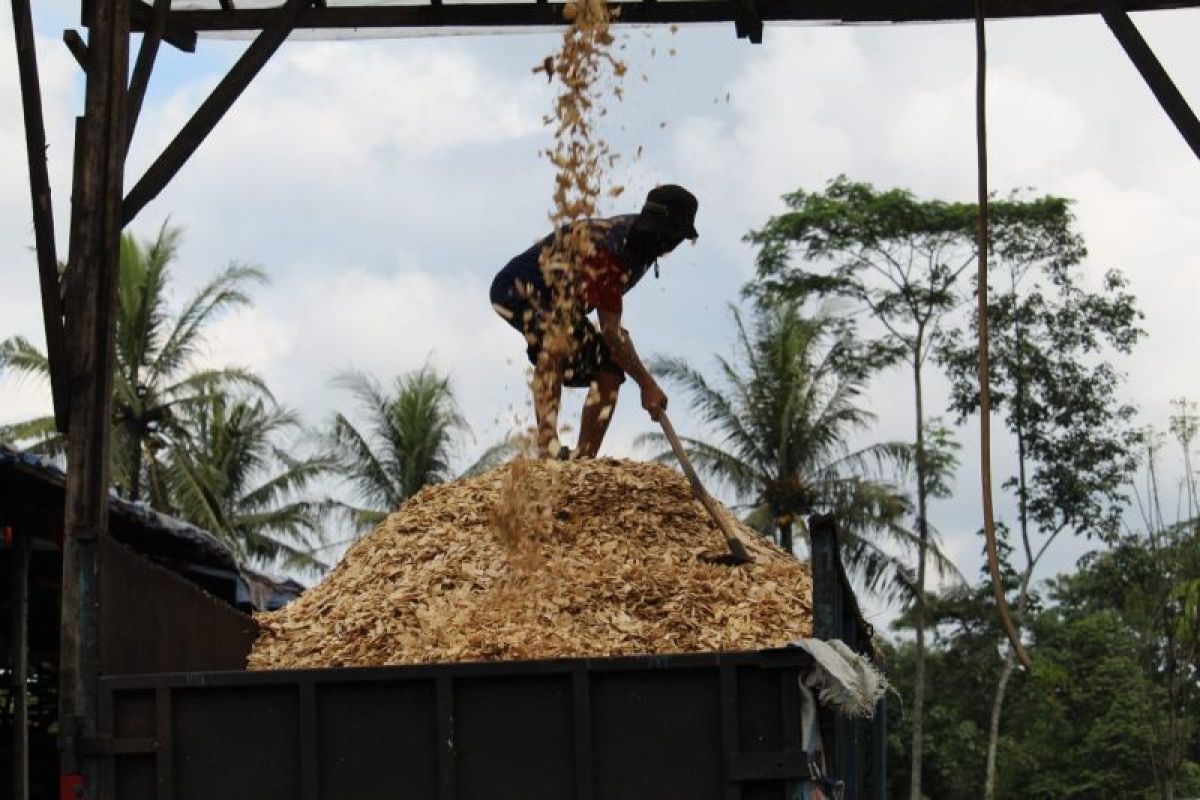 Accelerating energy transition based on biotechnology and local wisdom