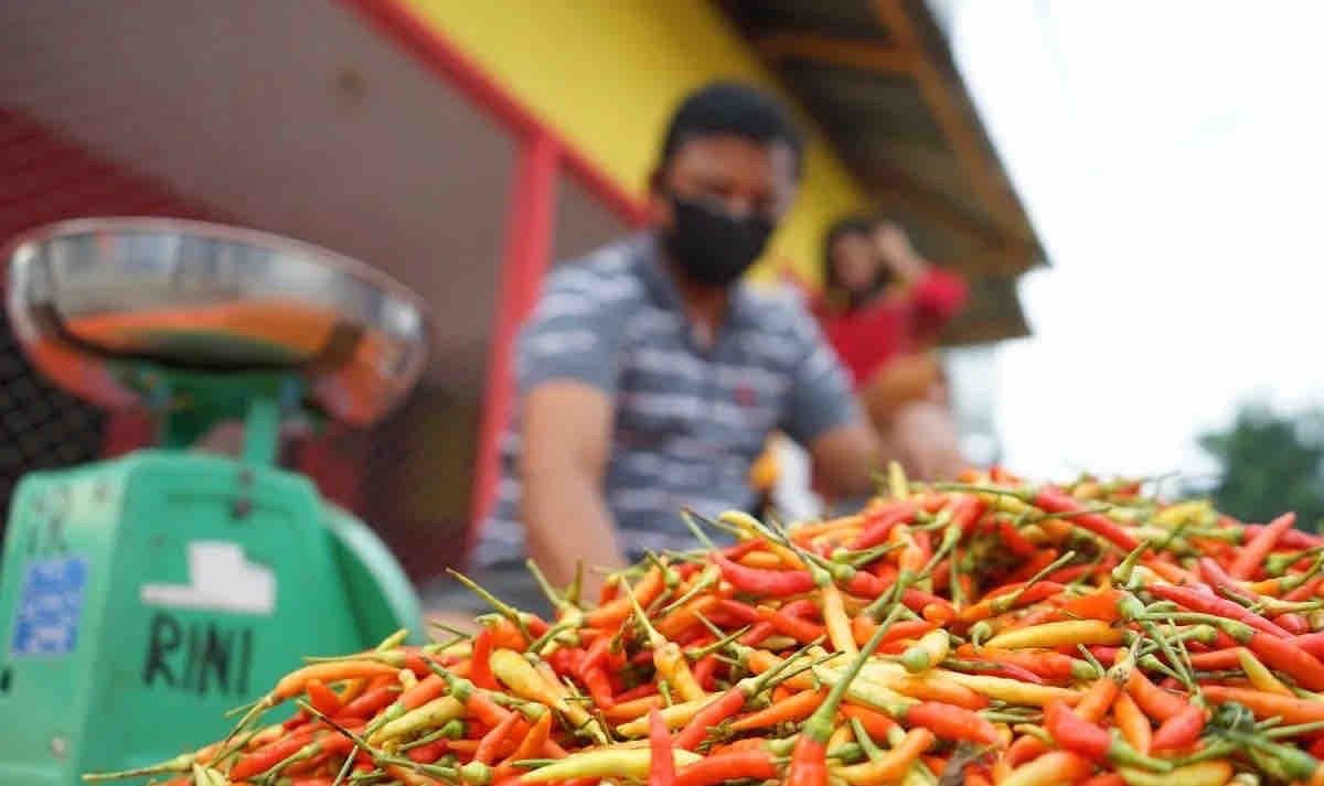 Basic Food Prices Predicted to Rise Despite Safe Stock Ahead of Eid