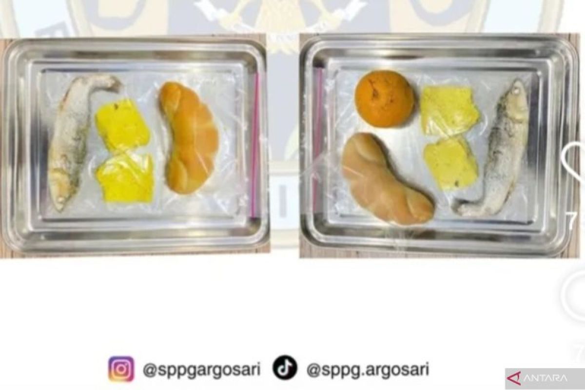 Viral Raw Milkfish in Bantul; National Nutrition Agency Confirms Pressure-Cooked Fish is Properly Cooked