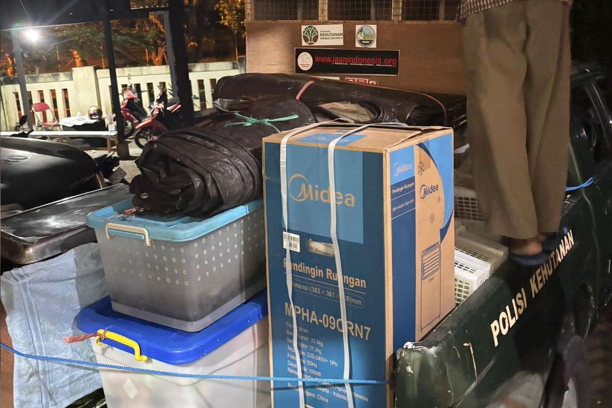 BKSDA Maluku relocates 24 wildlife animals from seized shipment in Ternate