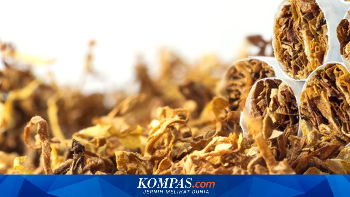 Tobacco Association Reveals Thousands of Cigarette Factories Shutting Down