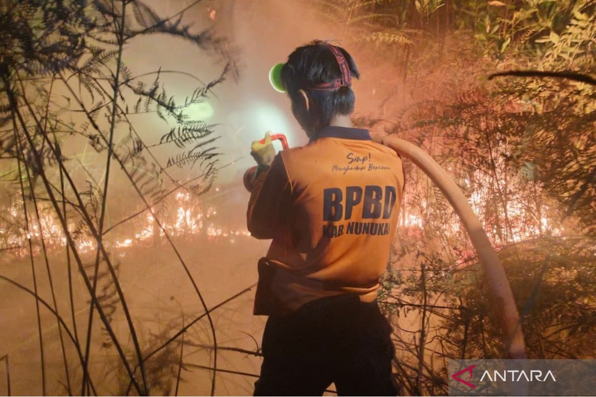 Officials work to extinguish land fires in Aceh and North Kalimantan