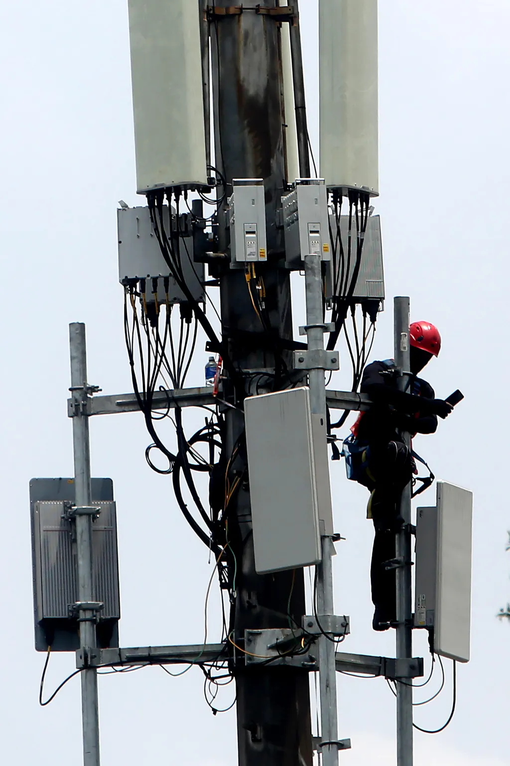 Cooperatives Can Build Telecommunication Networks