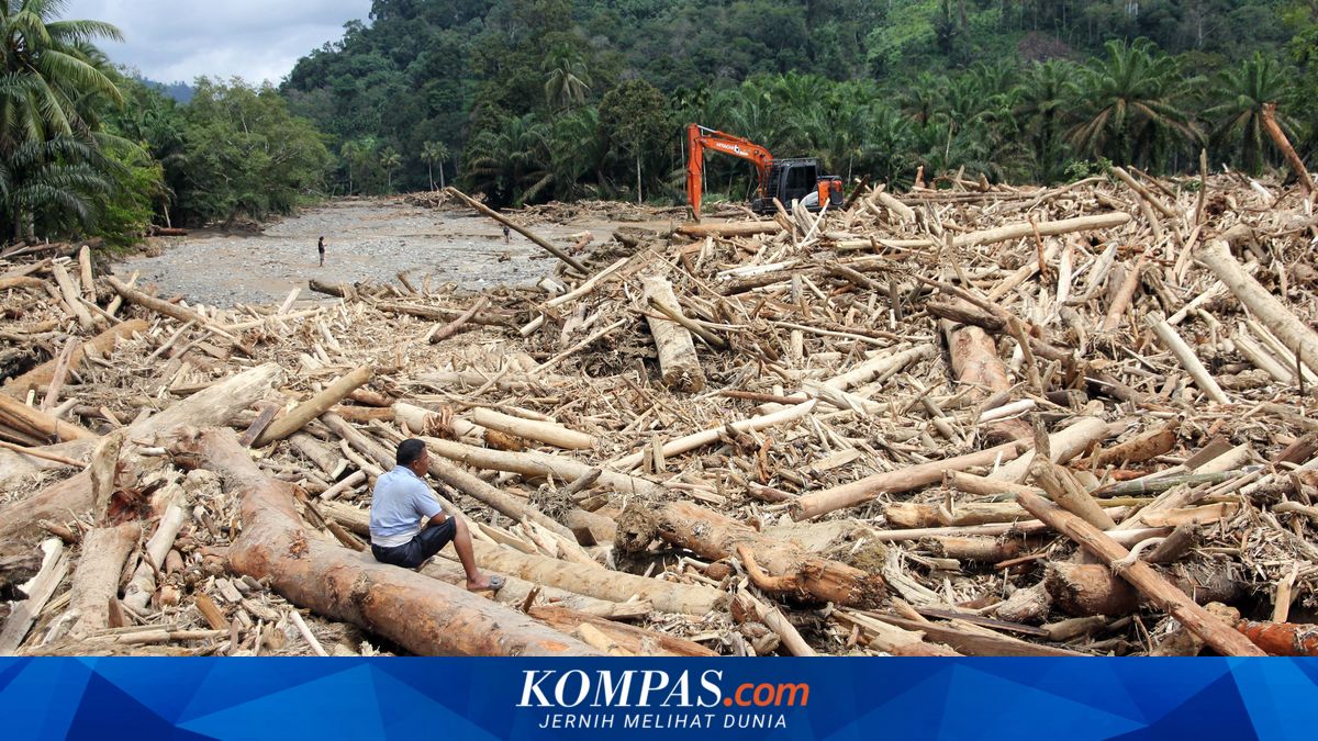 Easy Anxiety During Disaster Threats; Psychologist: Family Support is Crucial