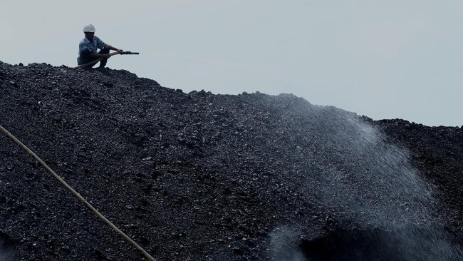 Coal Prices Collapse 8% as Oil Slump Clashes with China's Demand Shift