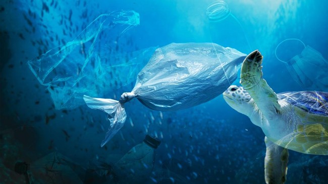 Scientists Discover Alarming Findings in Microplastic-Contaminated Water Experiment