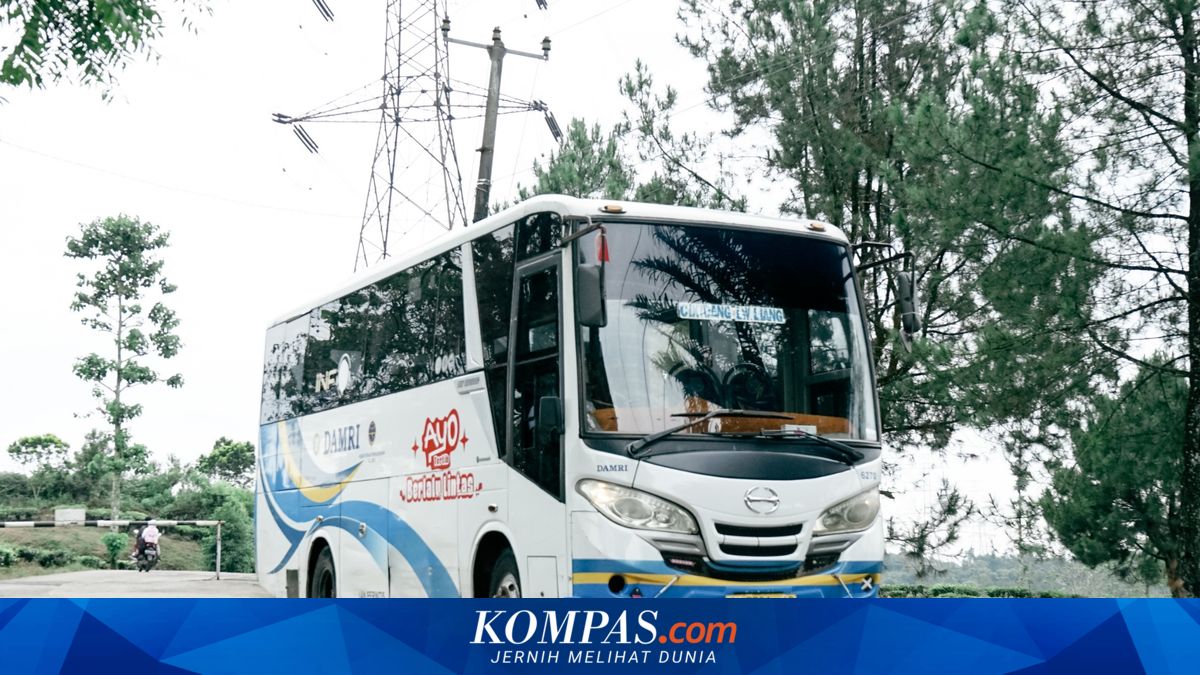 Lebaran 2026 Travel by DAMRI: New Women-Only Seating Feature Launched