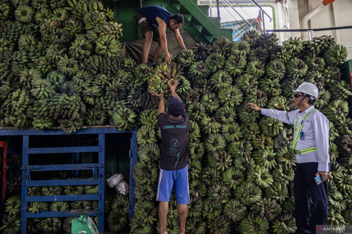 ASDP Padang Predicts Two Natural Route Surges During Lebaran Holiday