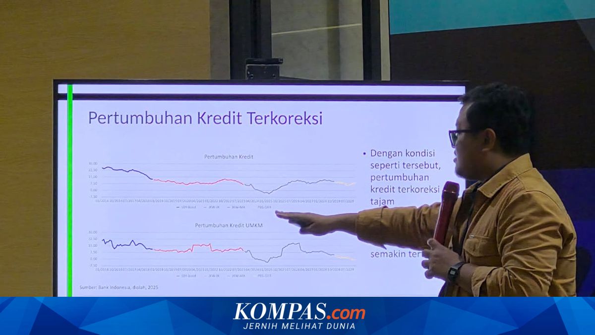 Economist Reveals Cause of Weak UMKM Credit amid Bank Credit and Consumption Recovery