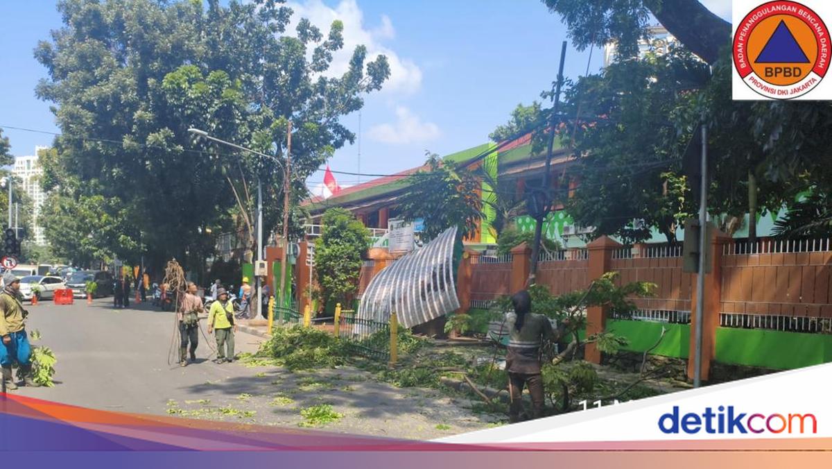 Raintre in Front of SMKN 3 Jakarta Collapses, Three Injured