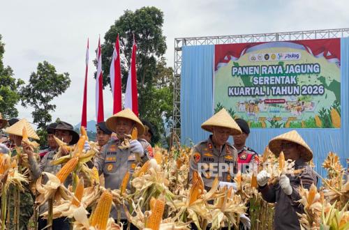 Indonesian National Police Now Growing Maize, Here Is the Purpose