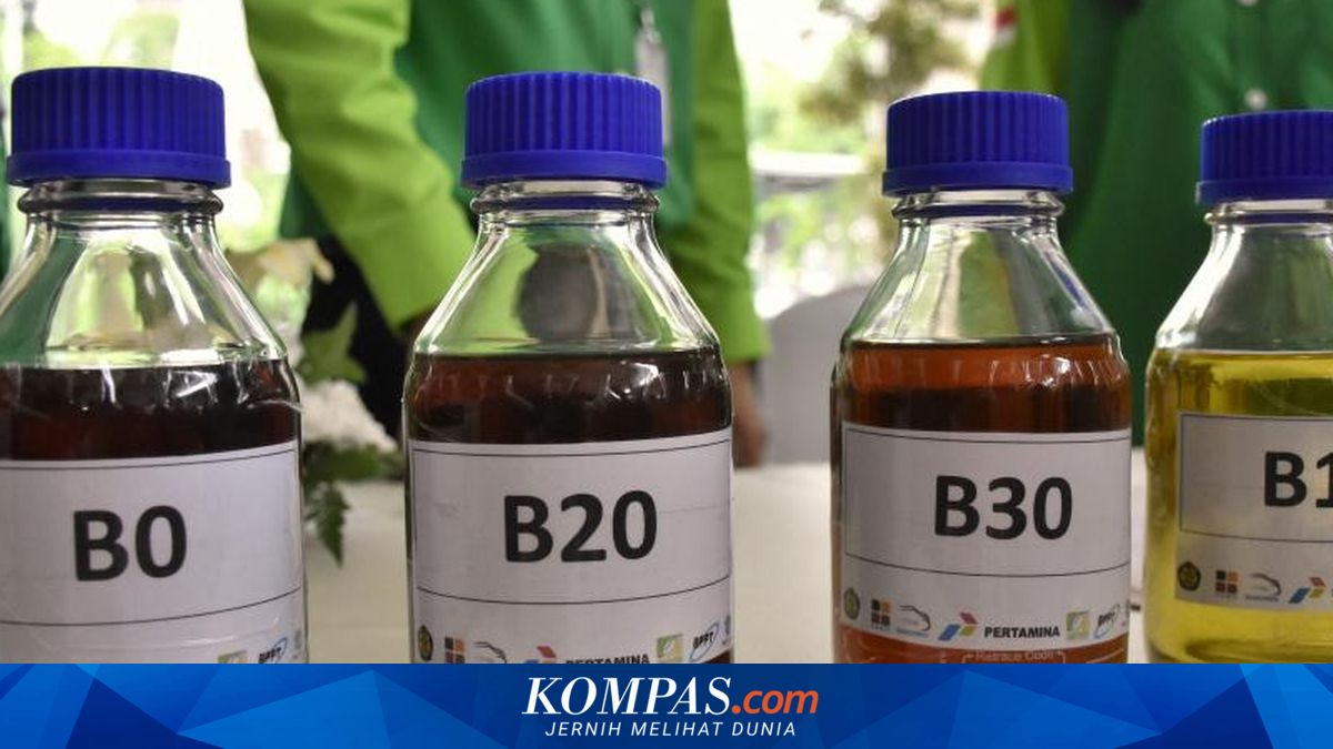 B50 Programme Assessed as Capable of Reducing Fuel Oil Imports and Strengthening National Energy Security