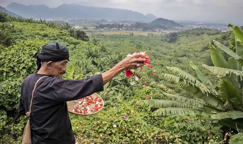 Leuwigajah and Bantargebang Tragedies: The Dark History of Indonesia's Waste Management