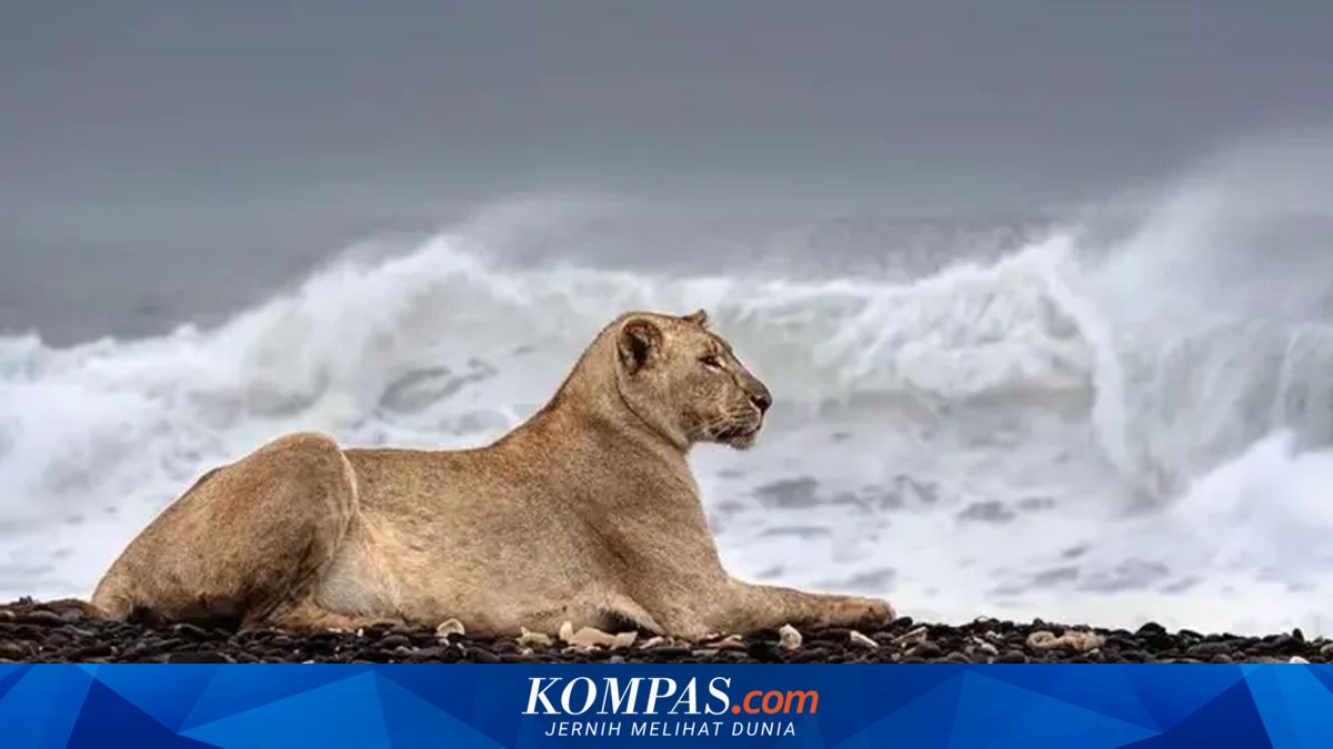Why Can Deserts Form on Coastal Edges?