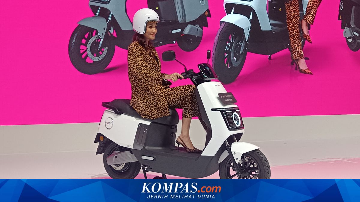 Polytron Electric Motorcycles Discounted Independently Without State Incentives