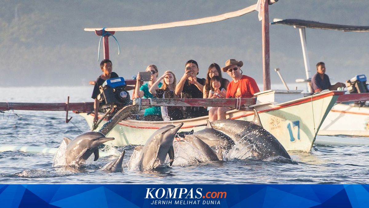 Tourism Association Highlights Importance of Law Enforcement Against Tourism Operators in Bali