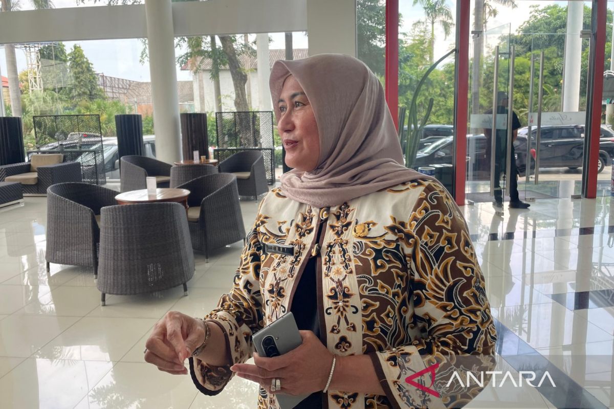 Lebaran Exodus: 20 Health Posts Activated on Toll Roads and Pantura Arterial Route in Cirebon