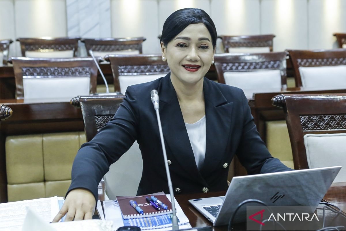 Profiles of five newly appointed OJK Board of Commissioners members, Friderica elected as chair