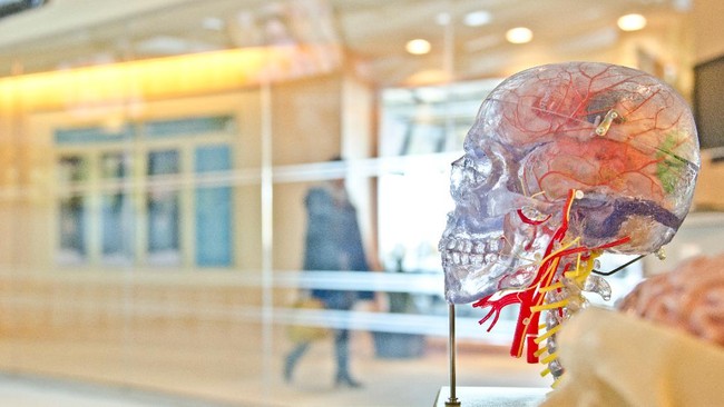 Singapore Develops Brain Cell-Based Computers to Reduce Power Consumption