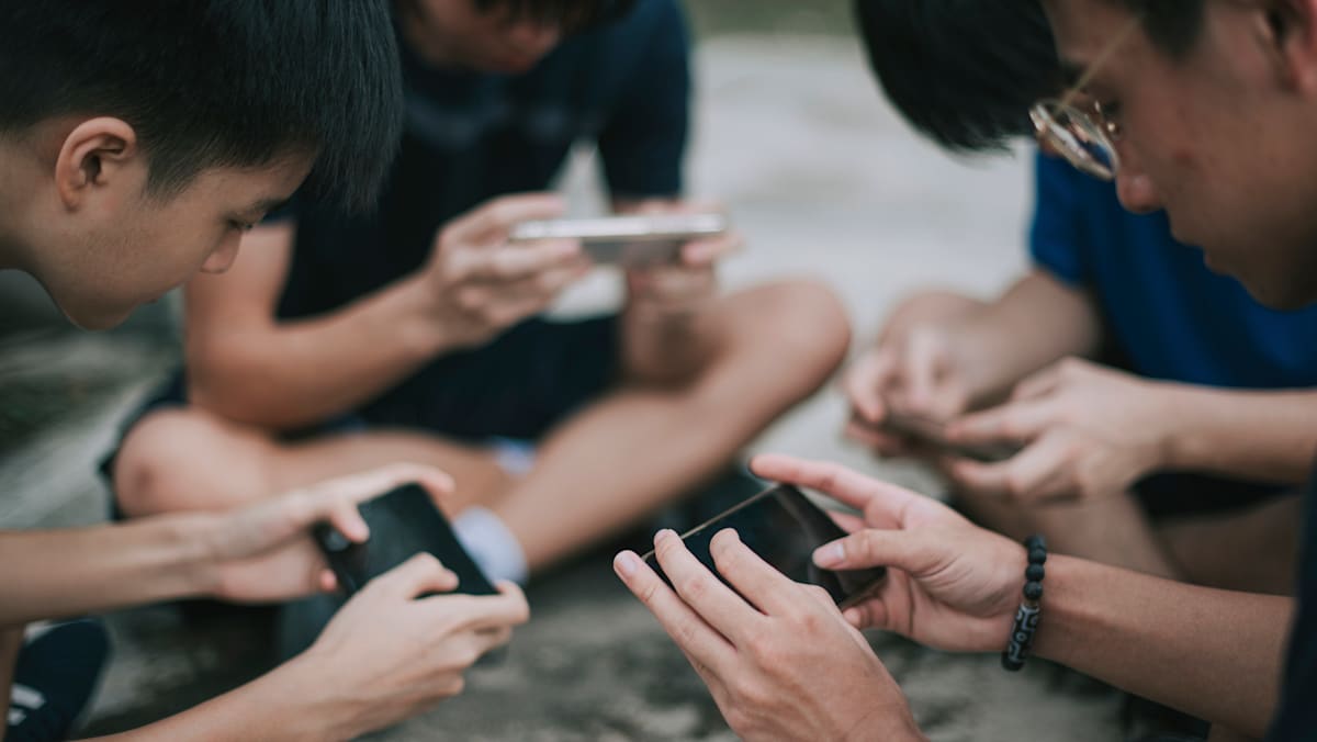 Indonesia's planned ban on social media for under-16s: Effective protection or excessive restriction?