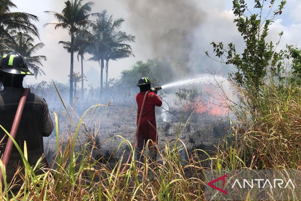 BNPB: Bintan Wildfire in Riau Islands Spreads to Destroy 25 Hectares
