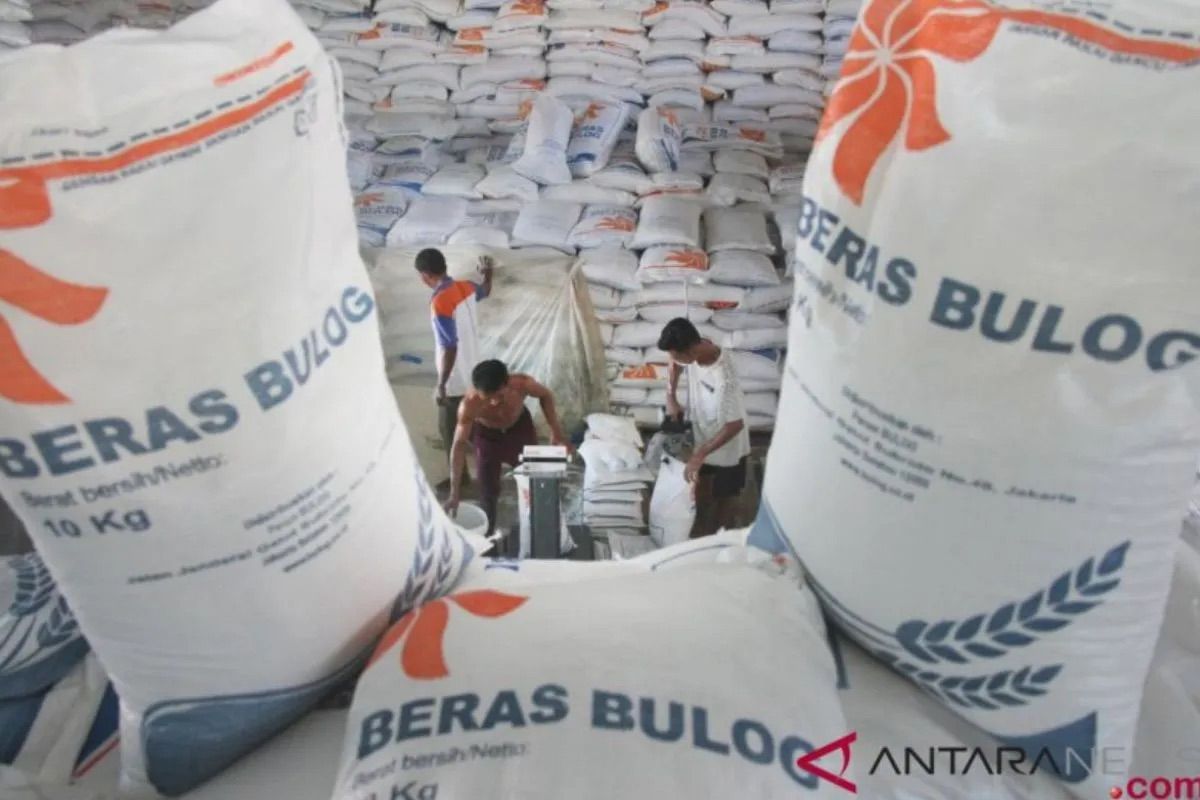 National Food Agency projects national rice availability to exceed 47 million tonnes
