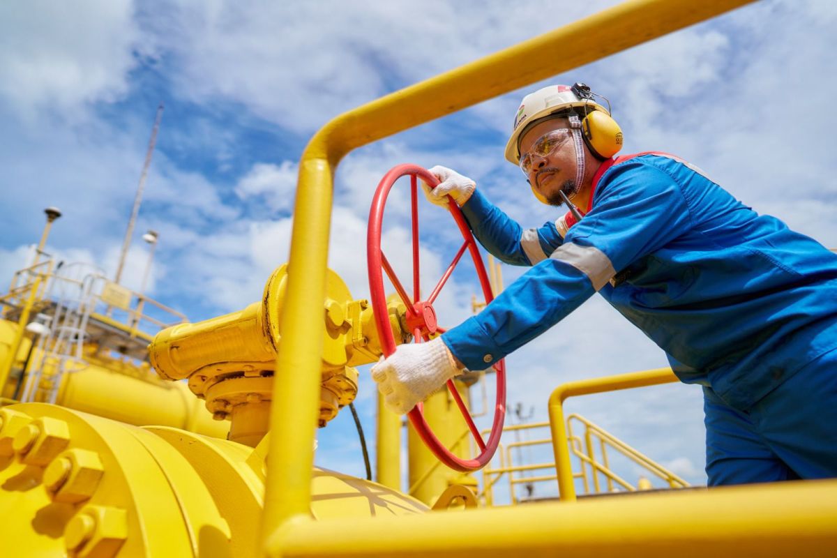 PGN targets 877 BBTUD natural gas distribution by 2026