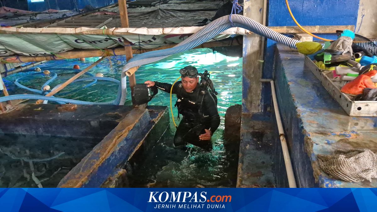 Diving Profession Involves More Than Attraction: Risks Include Ear Injury and Death