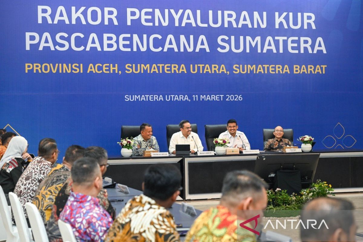 Minister for SMEs: government provides business recovery programme for three provinces