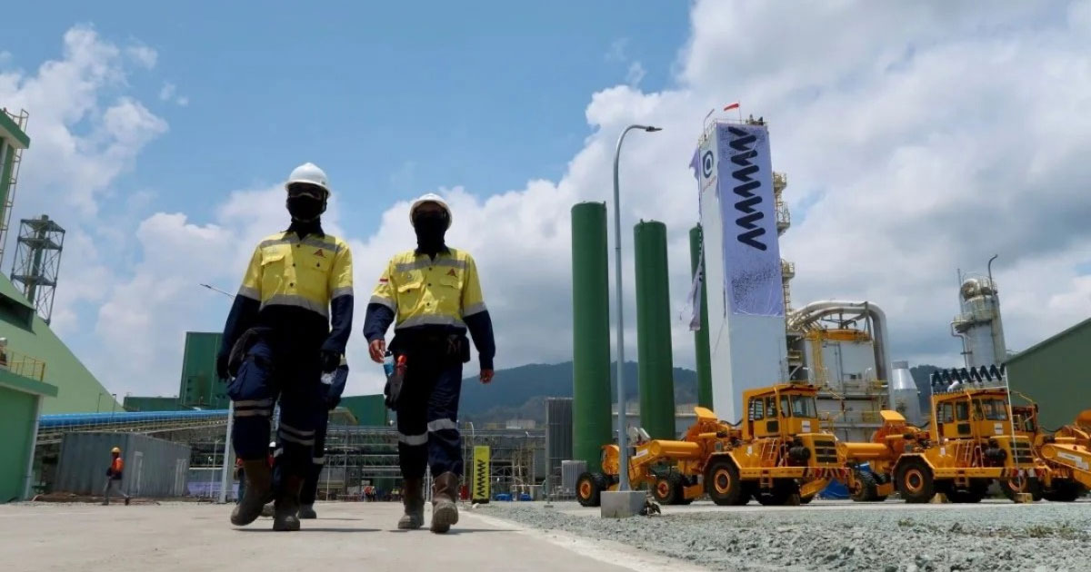 LPEM UI Study Reveals Major Economic Impact of AMMAN Operations on Indonesia