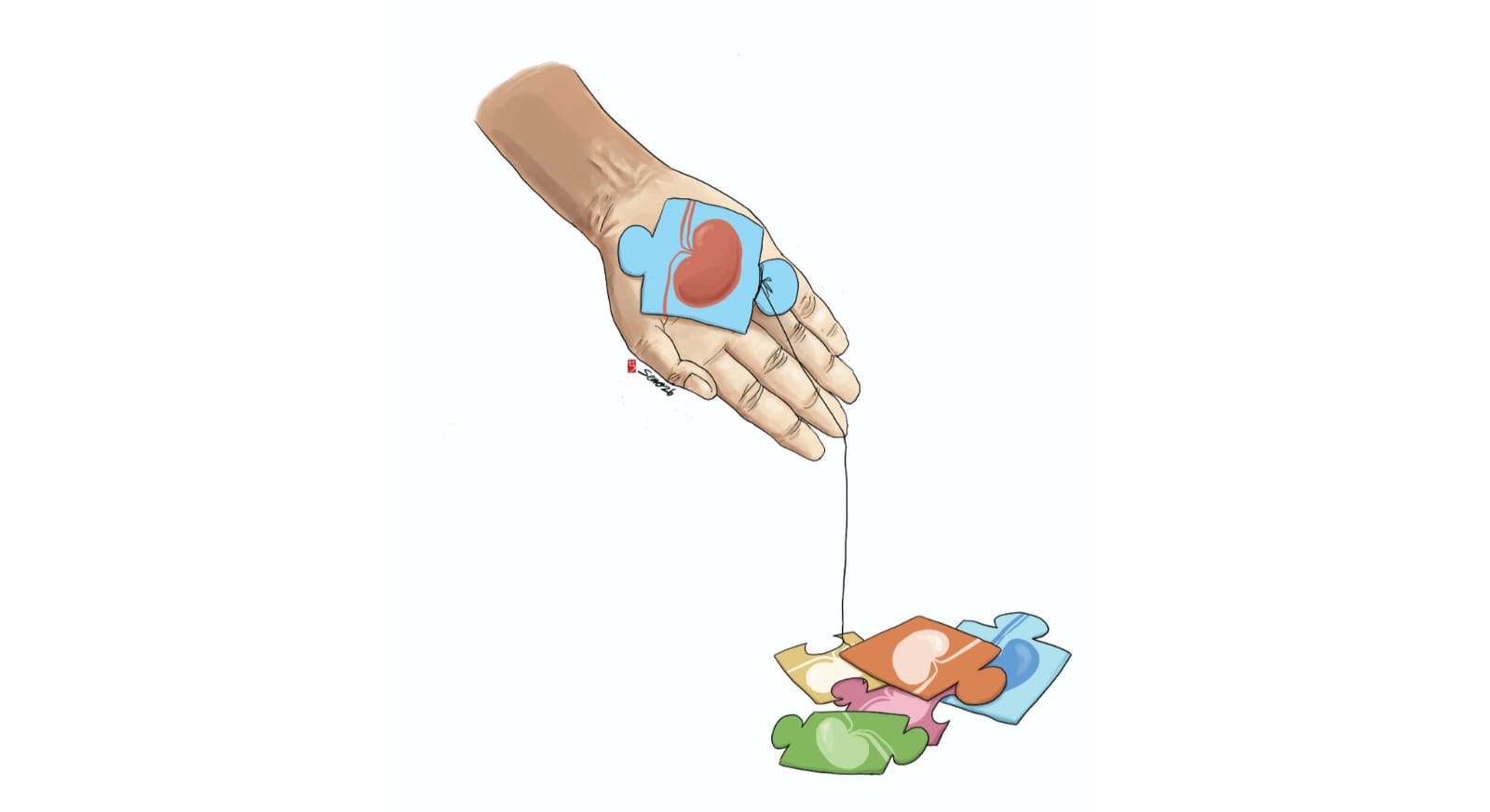 Compatibility Indicators for Kidney Transplants