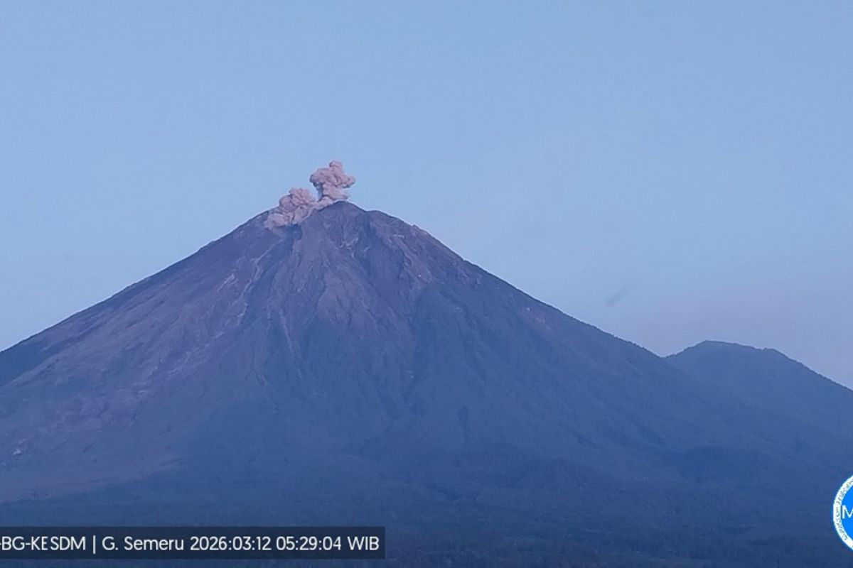 Mount Semeru erupts with ash columns reaching 600 metres above summit