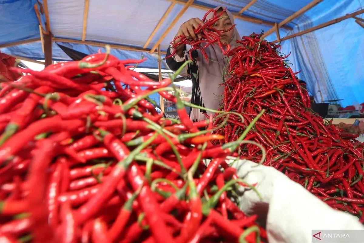 PIHPS: Red Bird's Eye Chilli at Rp65,750 per kg, Chicken Meat at Rp31,950 per kg