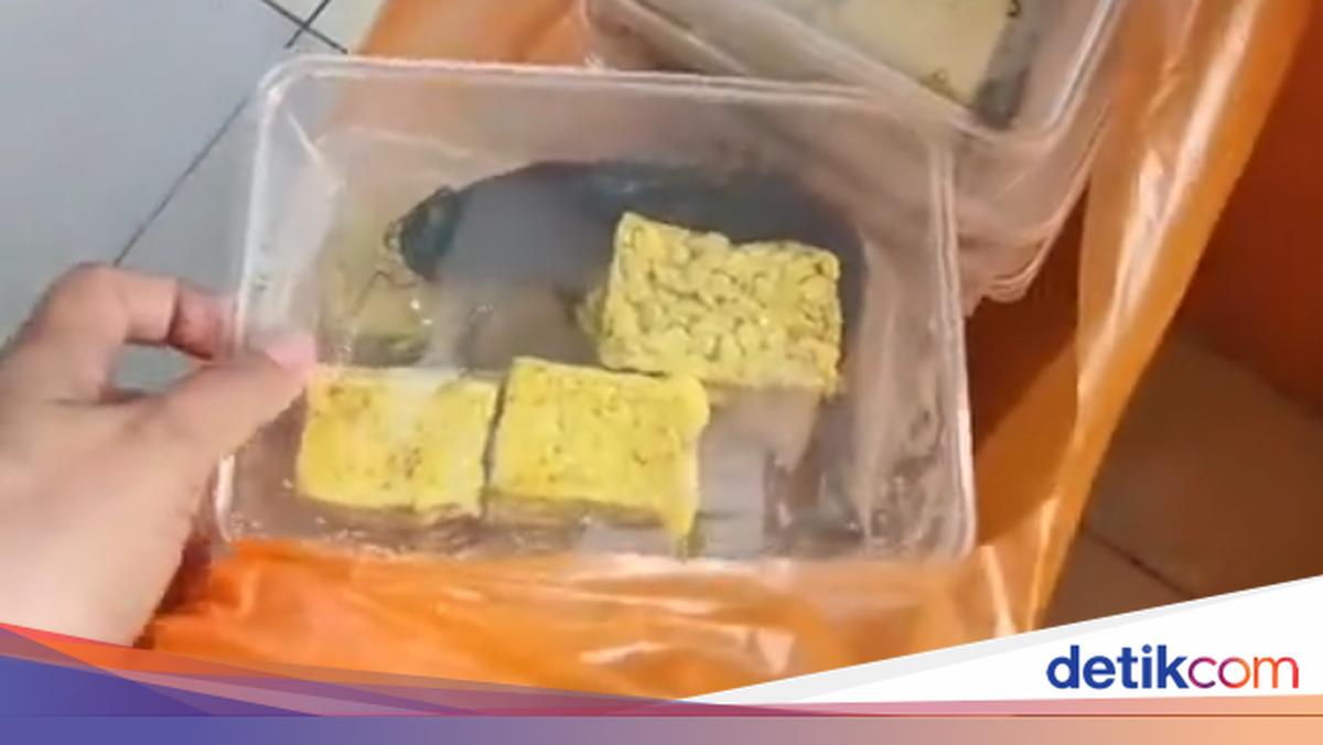 Free Nutritious Meal Controversy: Raw Marinated Catfish Leads to Kitchen Closure