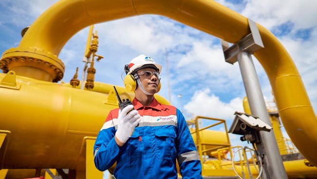 PGN to Advance Strategic Indonesian Projects: Details and Targets