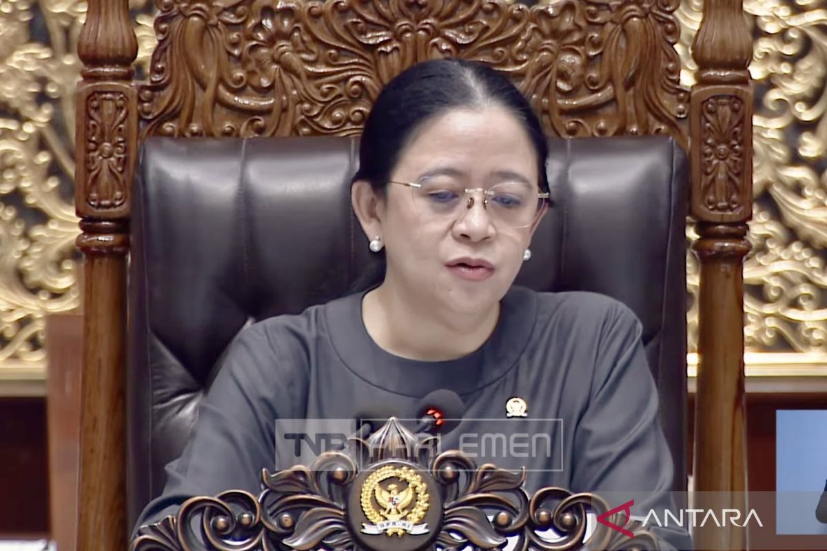 Domestic Workers Protection Bill becomes DPR initiative, reaffirms safeguards and guarantees for household assistants