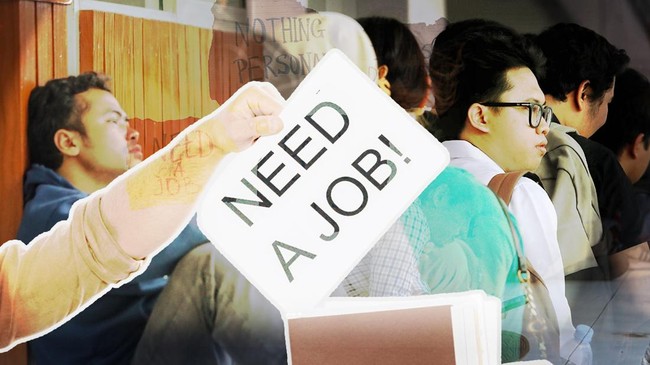 Job Hunting Becomes Increasingly Difficult as Single Vacancies Attract Thousands of Applicants